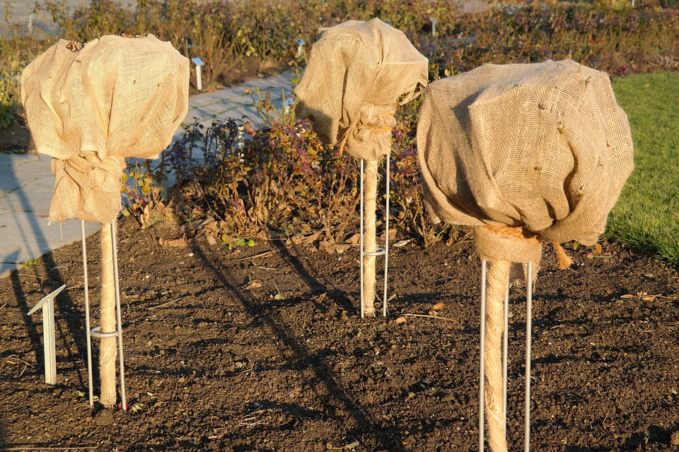 Protection packed frost protection