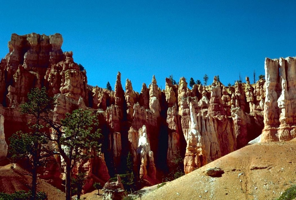 Canon domestic national park