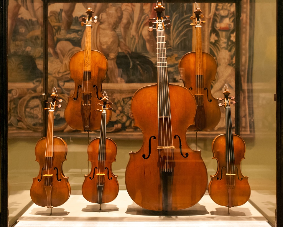 Violins violas viol