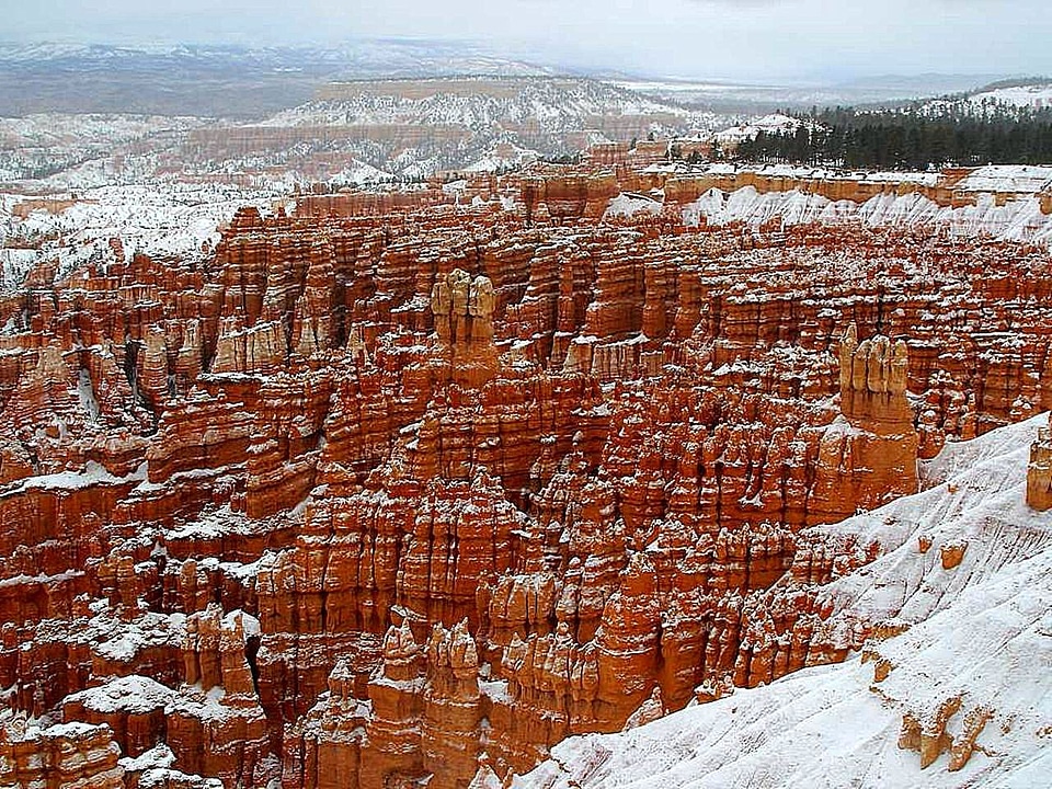 Winter landscape outdoor