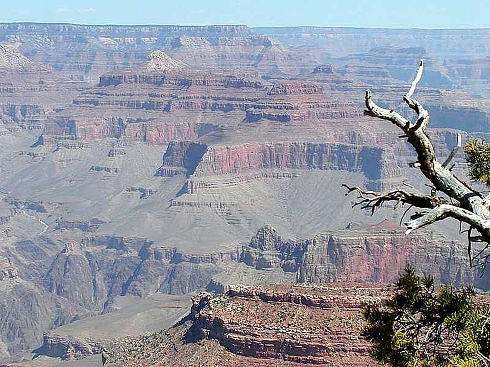 Great nature 