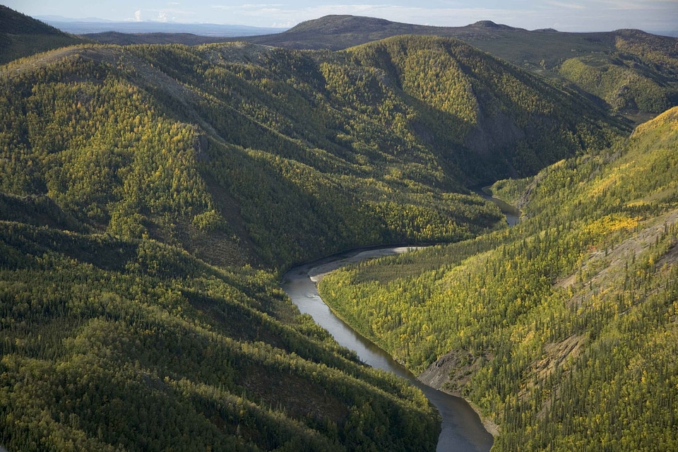 Domestic national park park