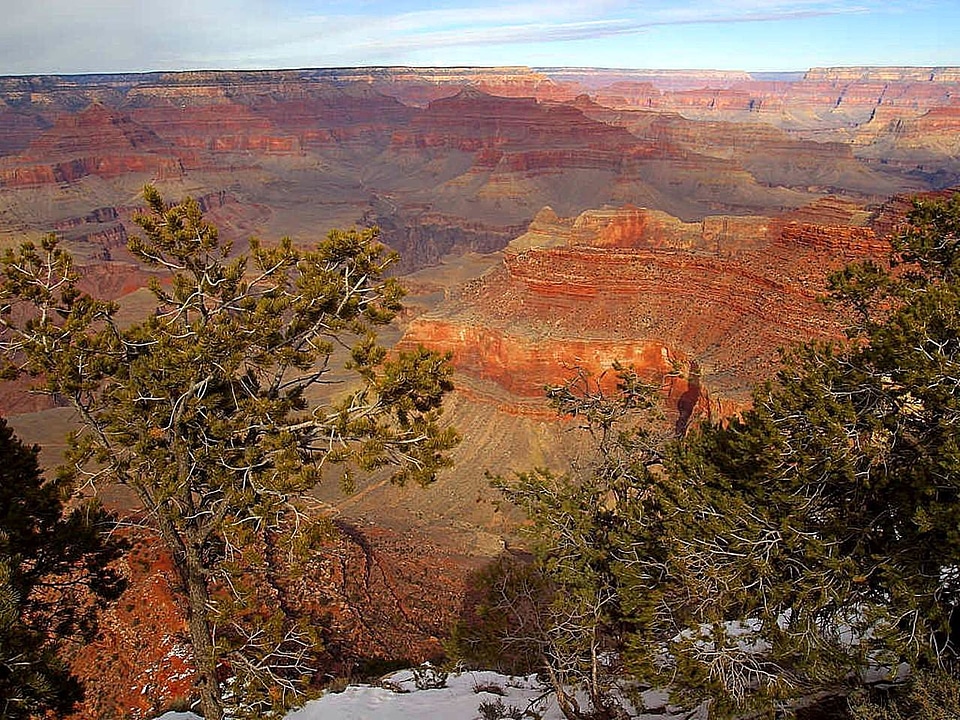 Canon great nature