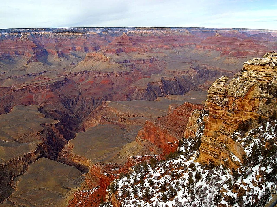 Desert great 