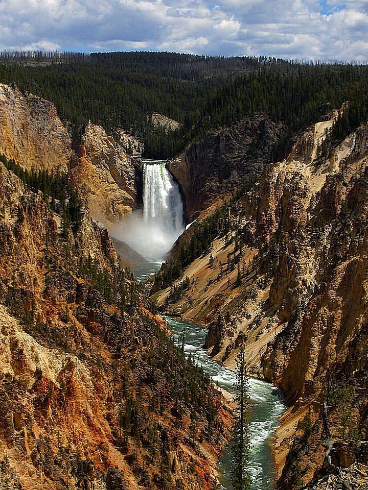 Great park landscape