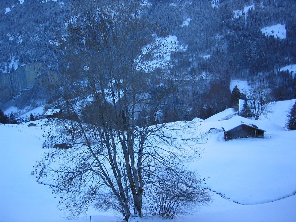 Dawn winter 