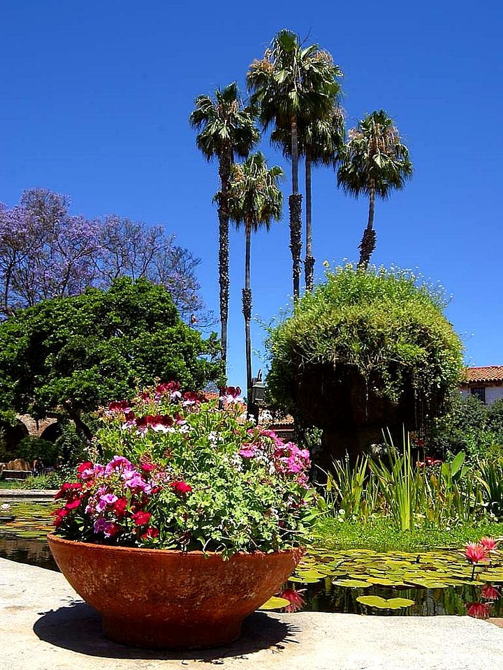 Blossom greenery park