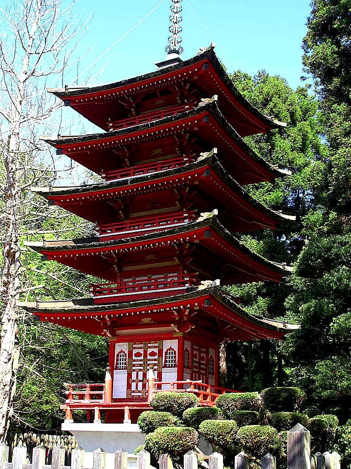 Garden japanese tea garden
