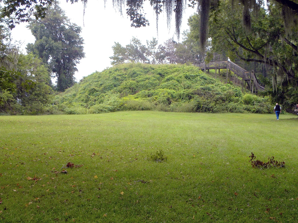 Greenery park 