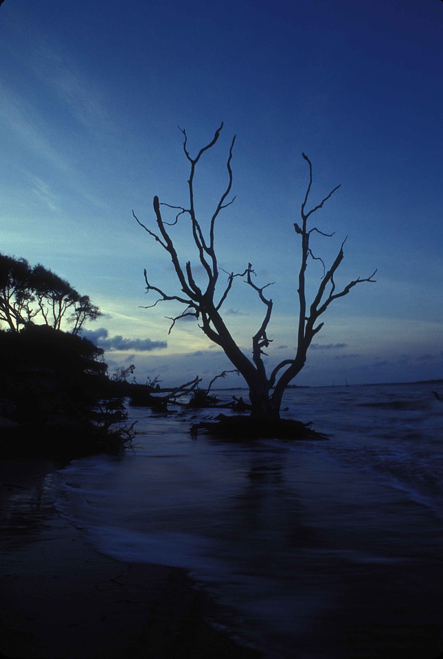 Amelia island light