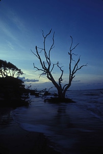Amelia island light