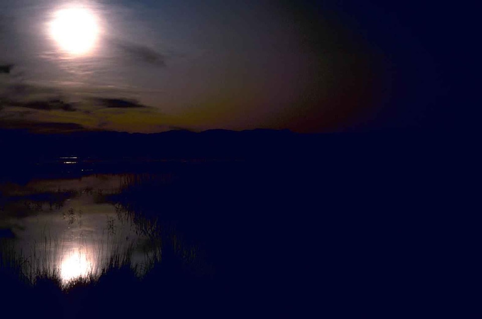 Dawn image 