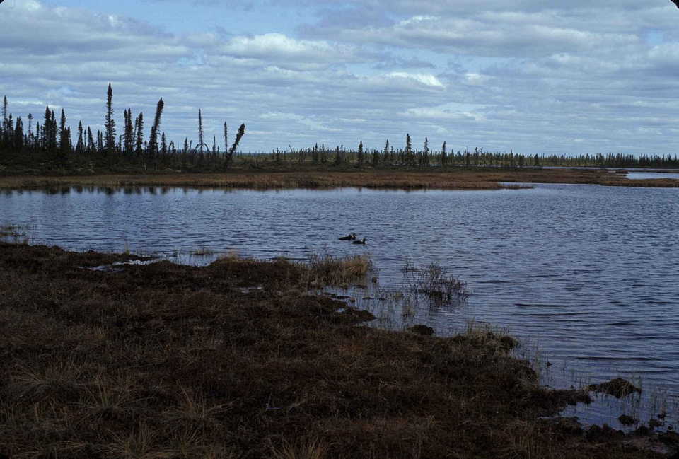 Hour lake 