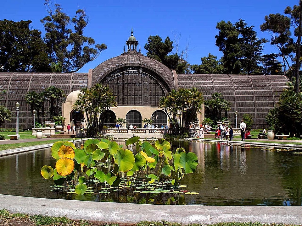 Botanic botanical flower garden