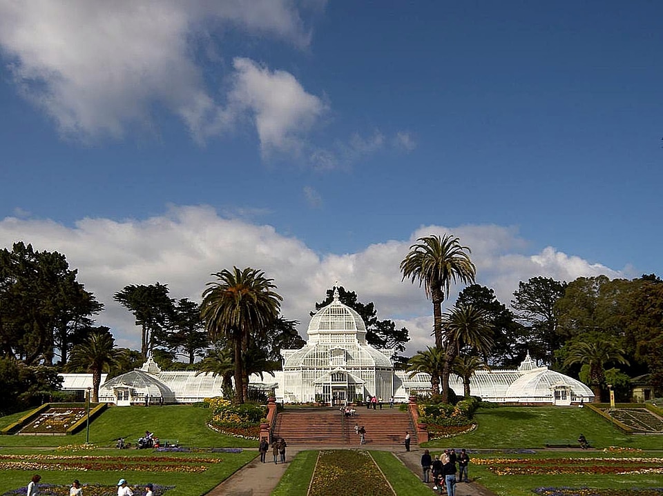 Conservatory flowers 