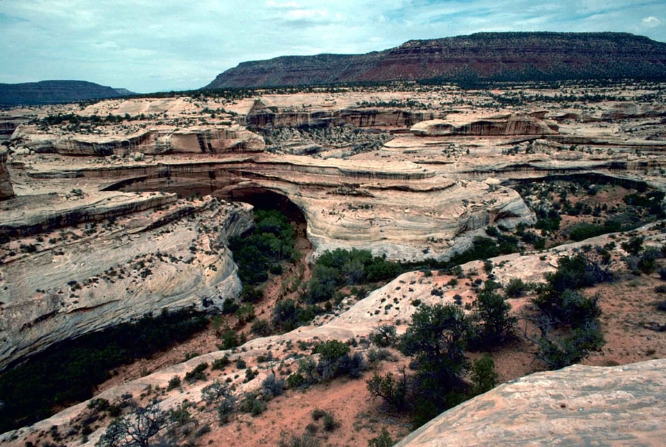 Array domestic national park
