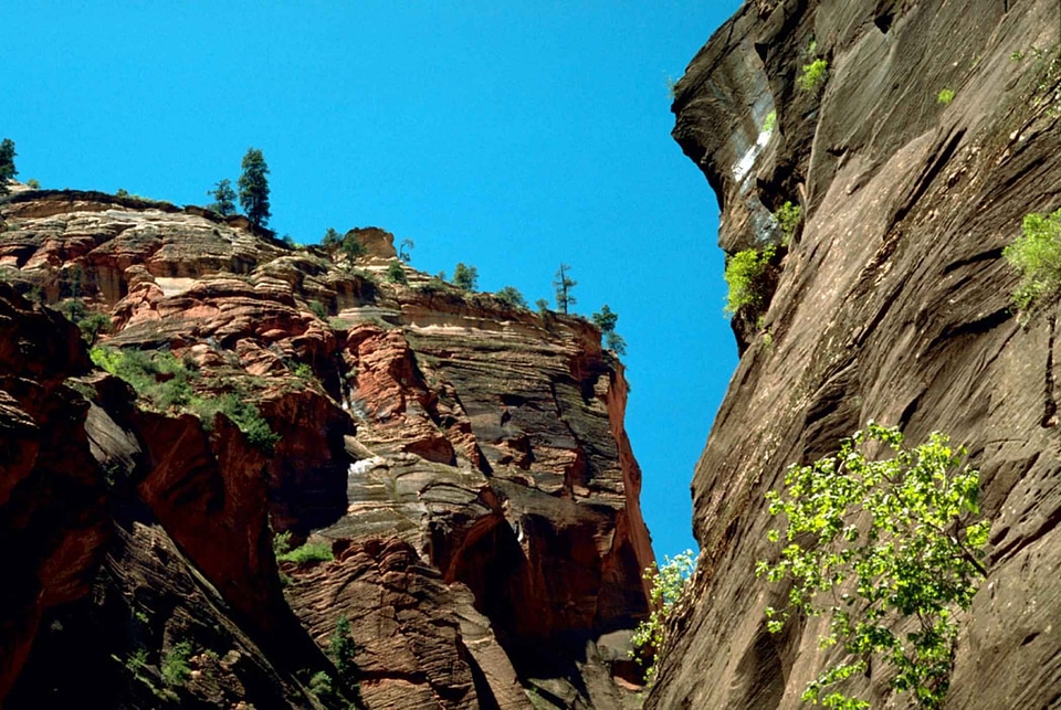 Camp domestic national park