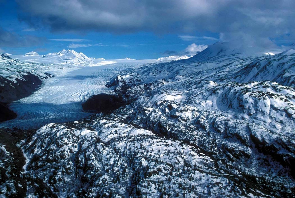 Alaska chef entrance