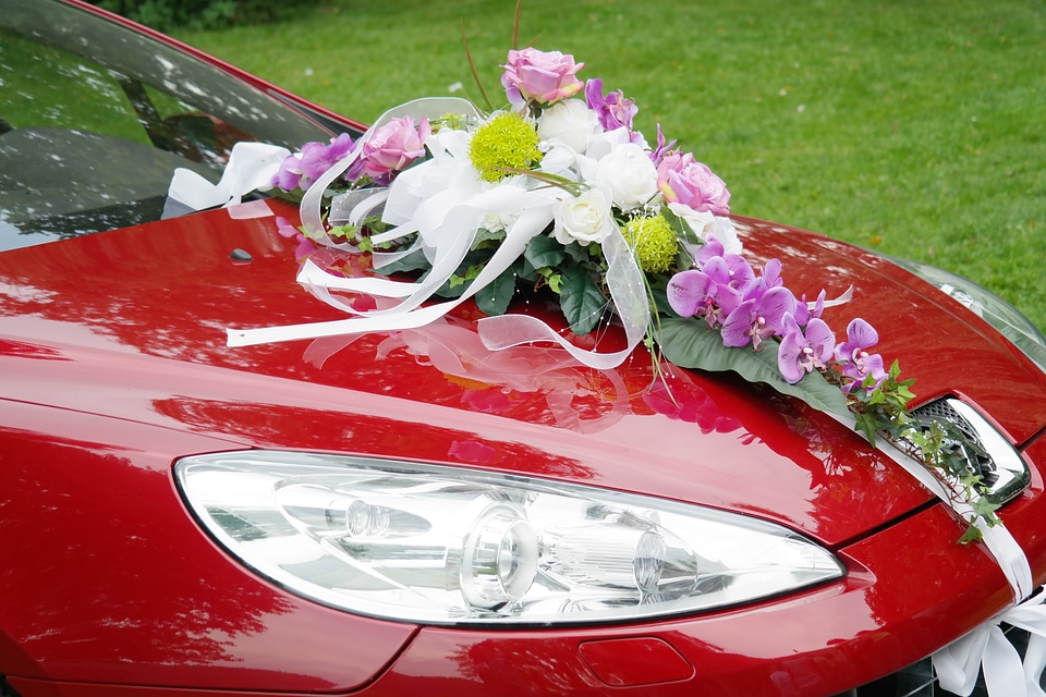 Spotlight flowers decoration