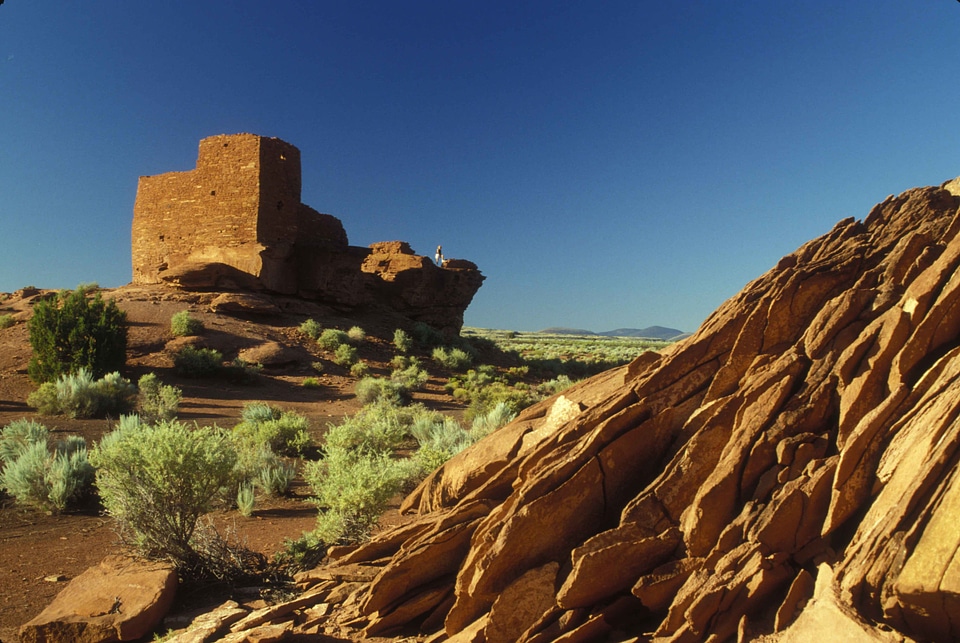 Desert  