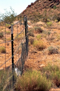 Desert desert tortoise fencing