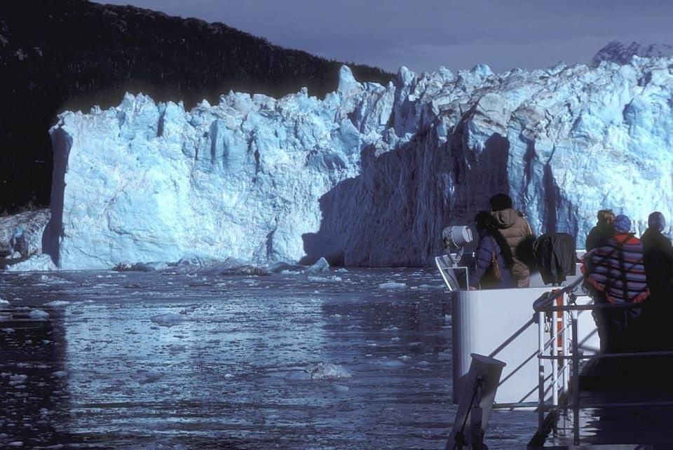 Domestic forest glacier