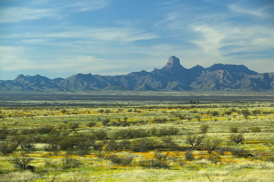 Camp crops desert