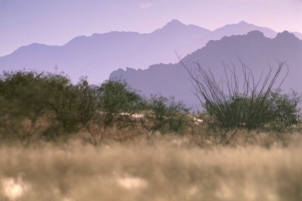 Desert earth 