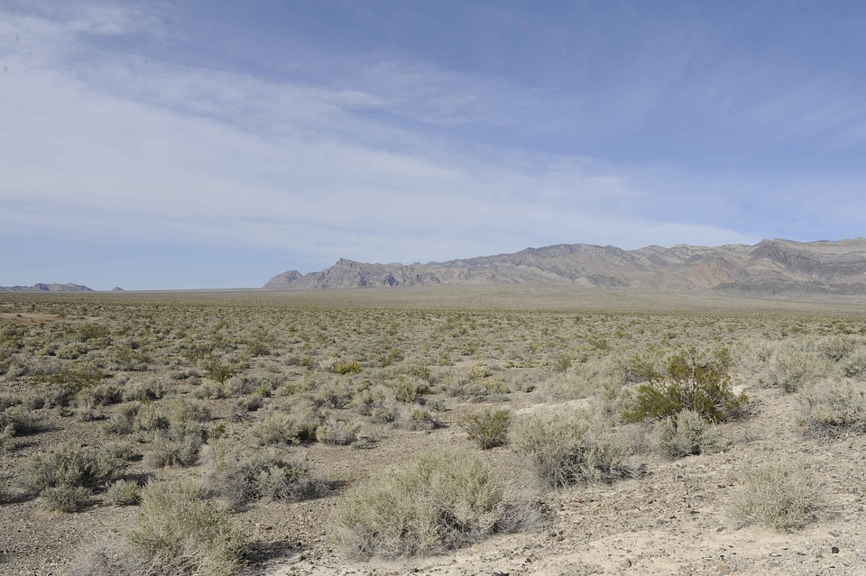 Camp desert perspective