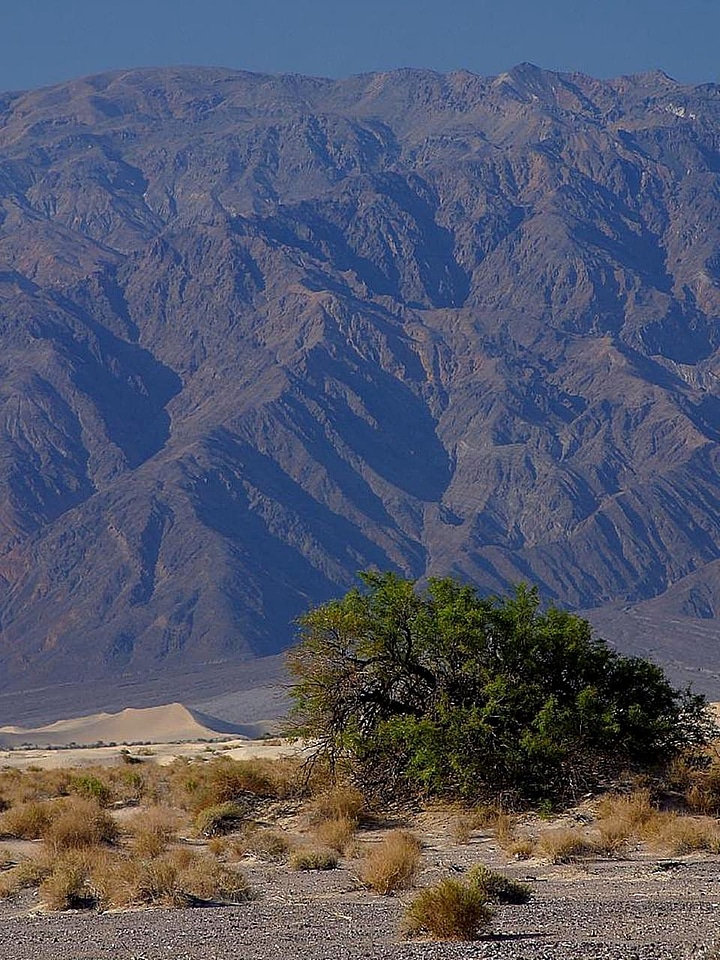Canada death deserts