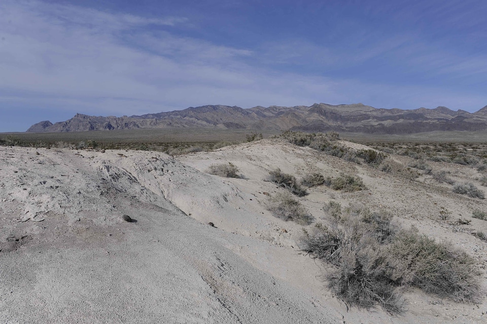 Background desert foreground