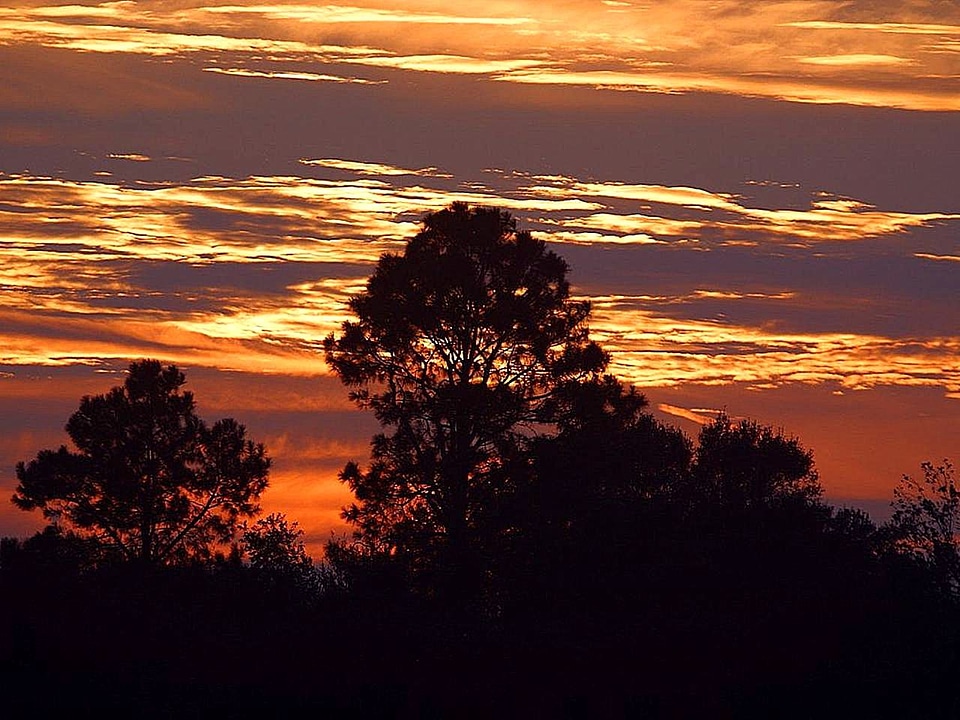 Dawn  