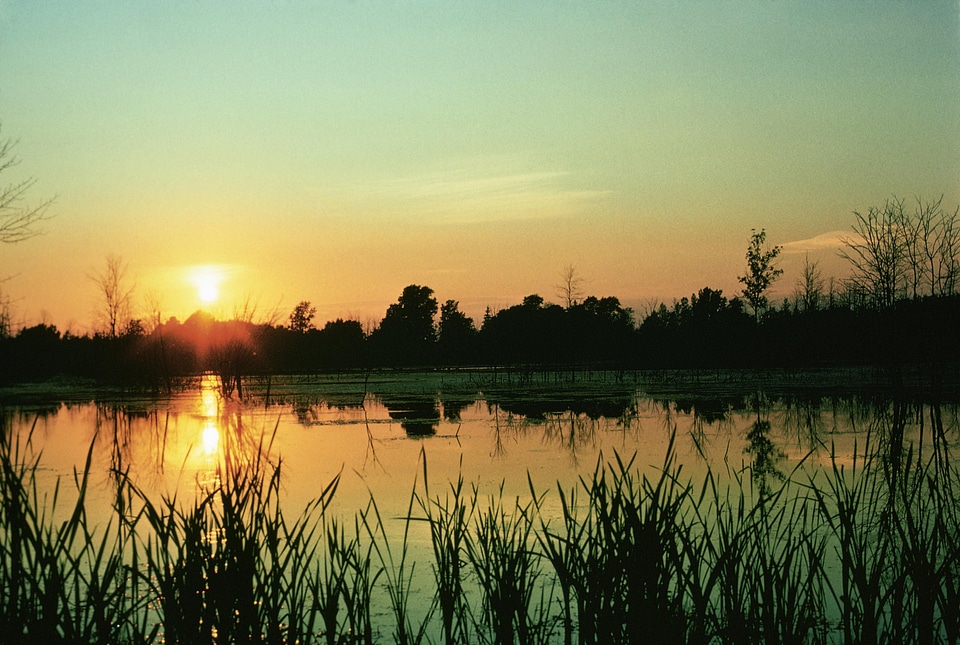 Background sunset photo