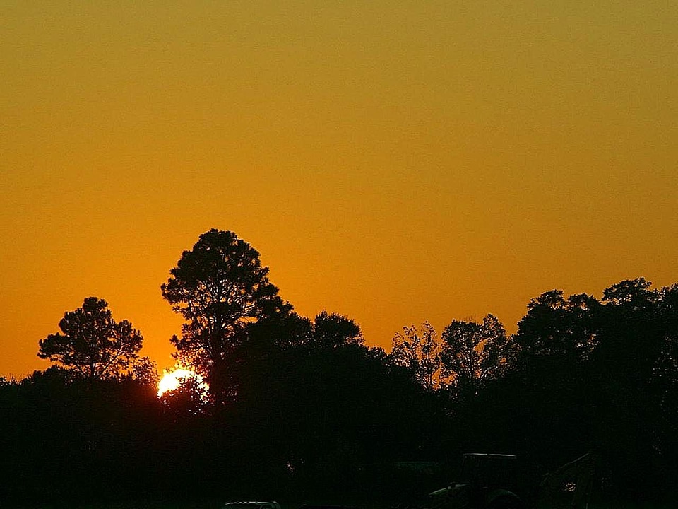 Dawn  