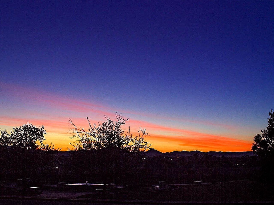 Dawn garden 