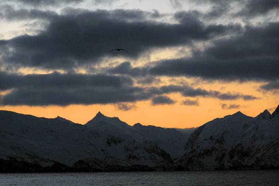 Dawn island 
