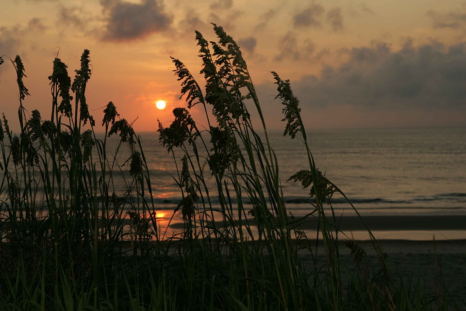 Dawn domestic island