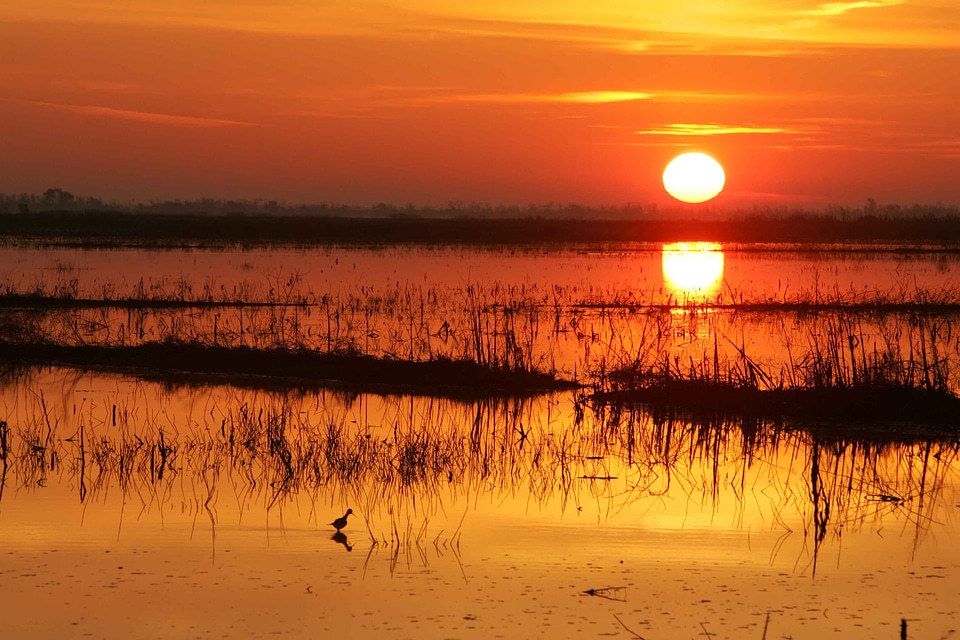 Beautiful Photo dawn red