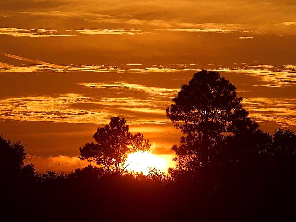 Africa dawn 