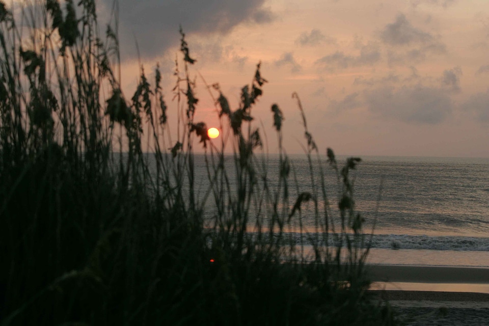 Dawn domestic national park