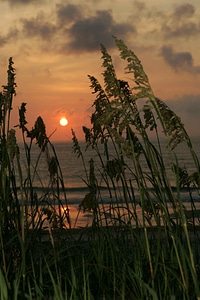 Coast dawn 