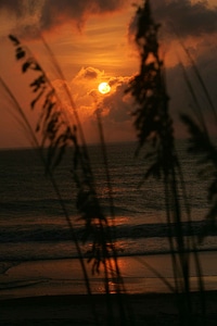 Dawn red wildness