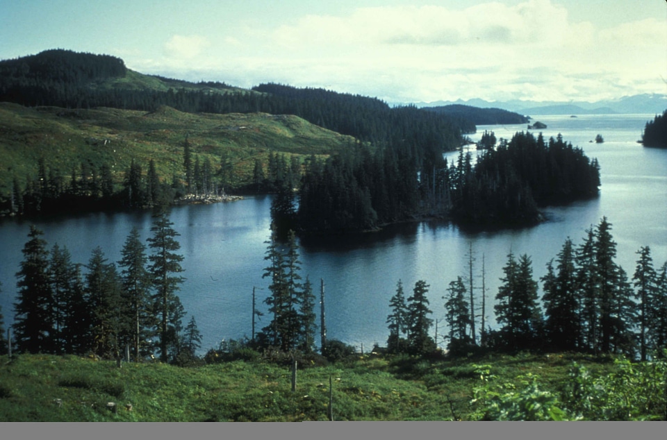Lagoon perspective scenic