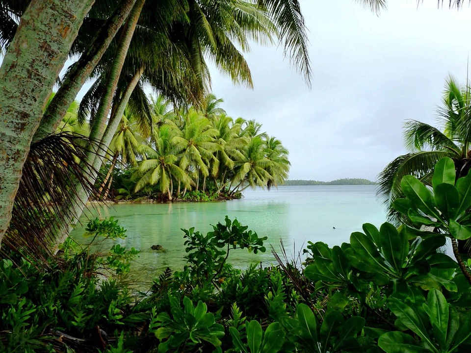 Beautiful Photo camp lagoon