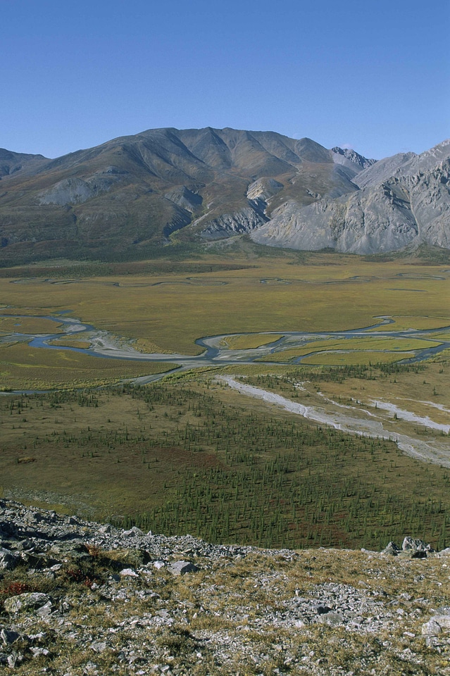 Background canada perspective