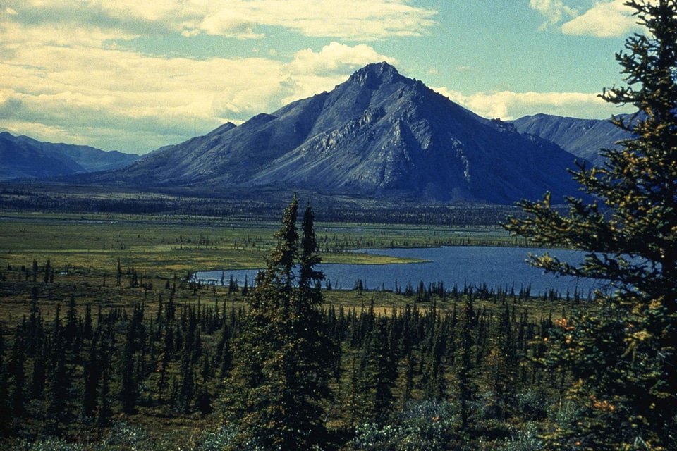 Arctic camp canada