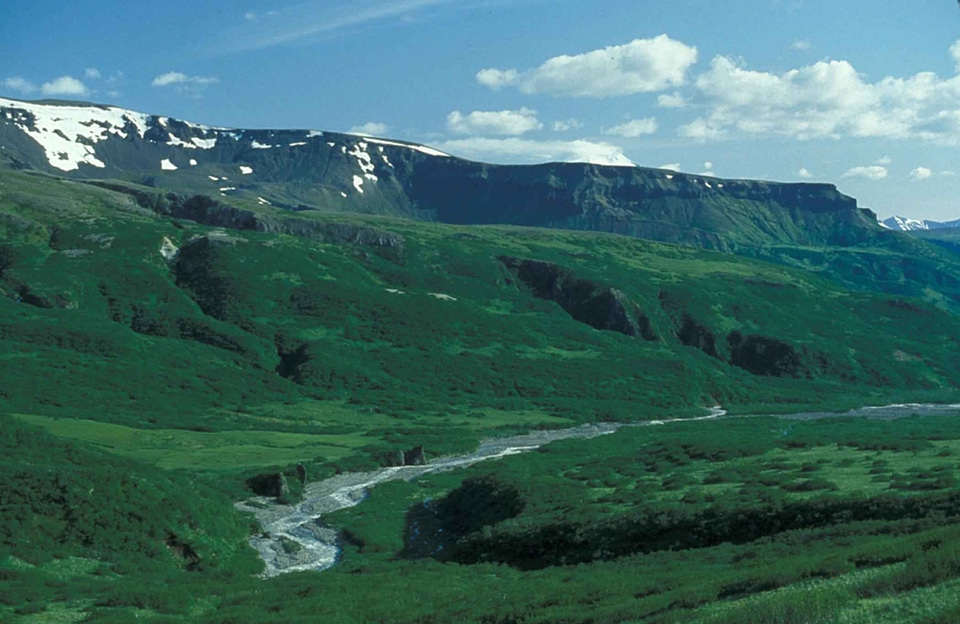 Area canada desert