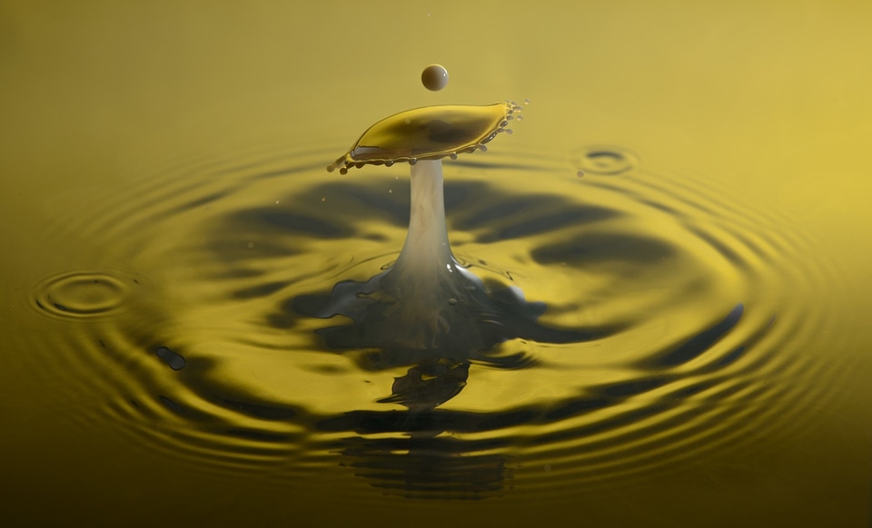 Macro impact experiment yellow