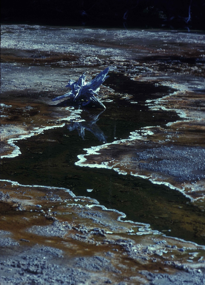 Departure domestic geyser
