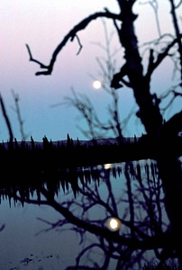 Dawn lake moon